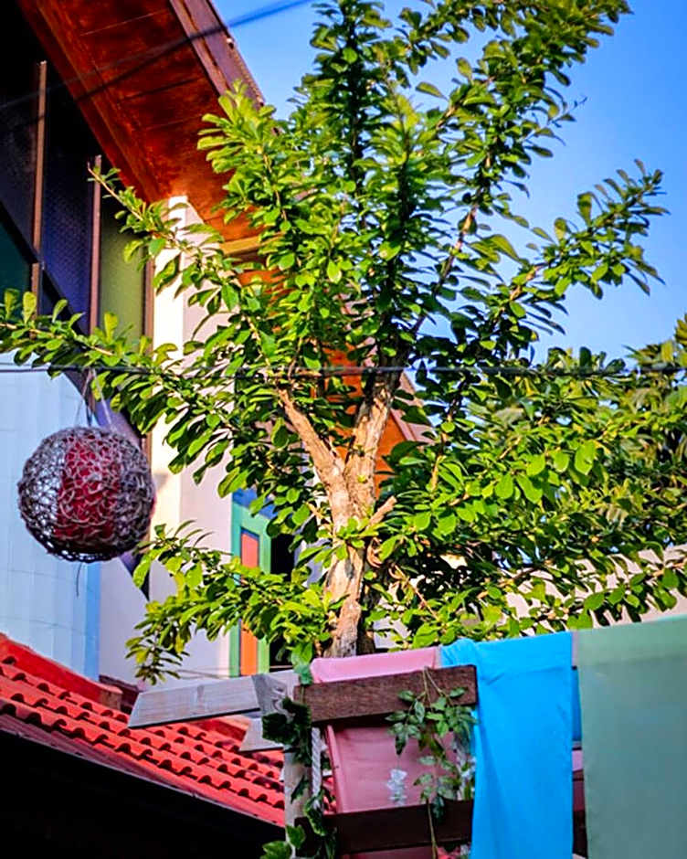 Omah Njonja Bed & Brasserie