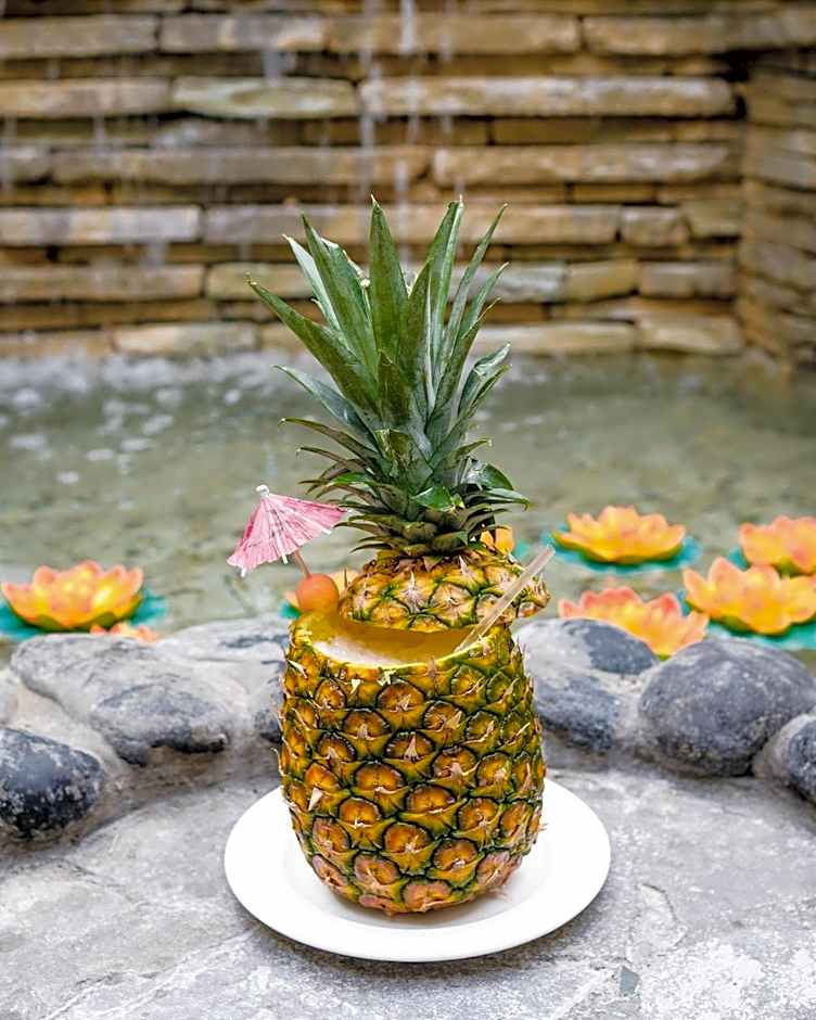 Hodelpa Garden Suites- All Inclusive