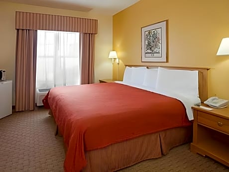 King Suite with Sofa Bed