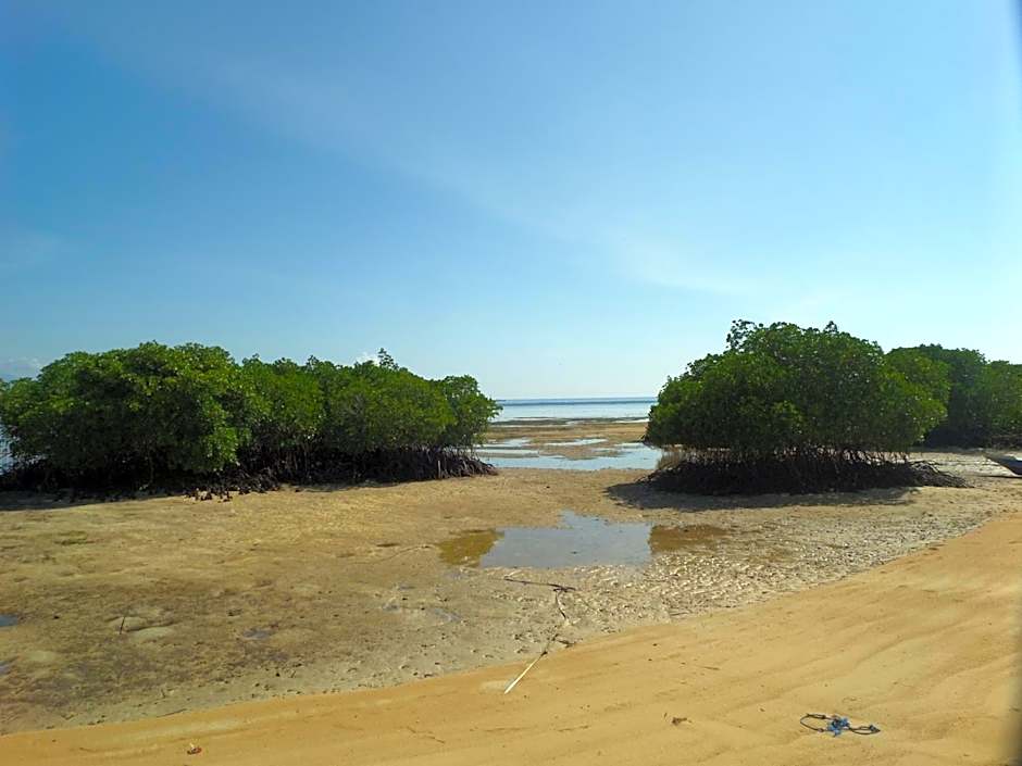 Mangrove Paradise Retreat