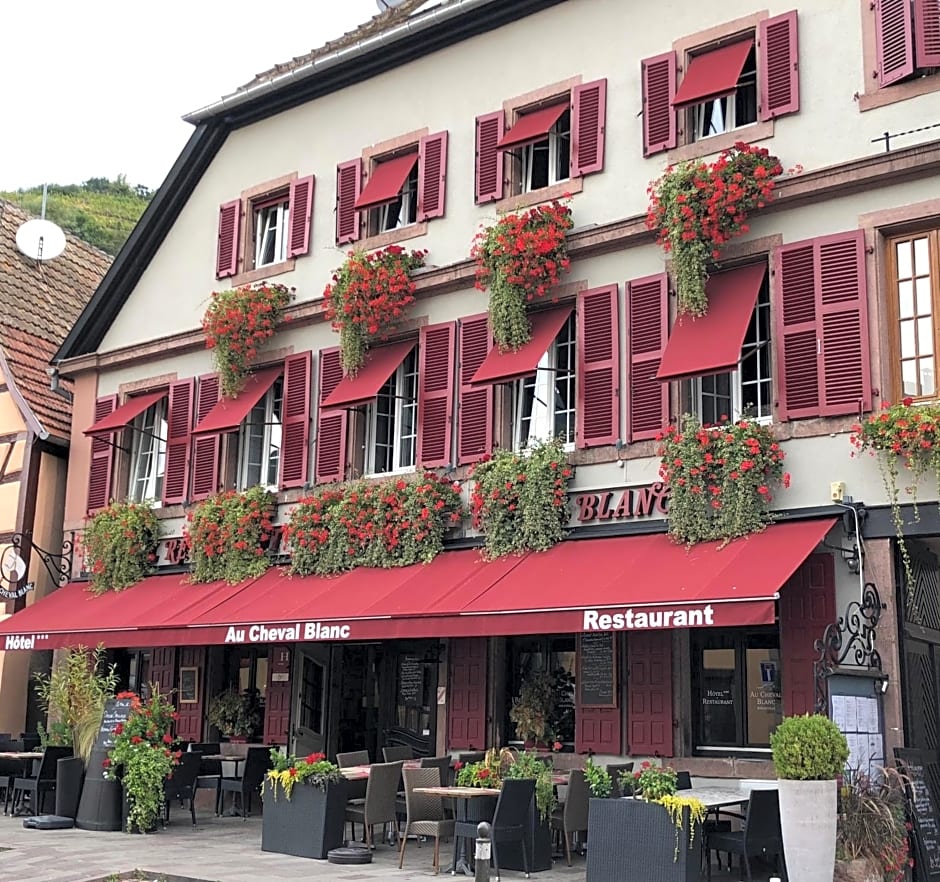 Hotel SPA Au Cheval Blanc