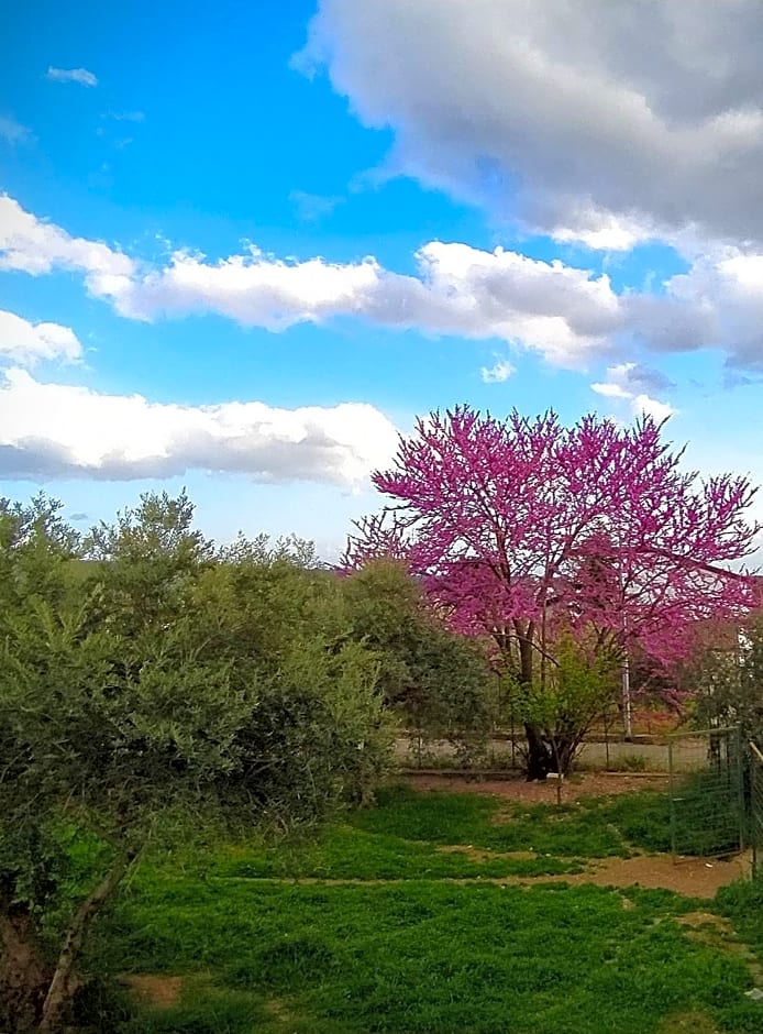 B & B Luoghi Antichi