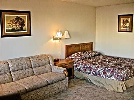 Deluxe 1 Queen Bed Non-Smoking - Wireless High-Speed Internet Access,  Continental Breakfast, Sofa, 