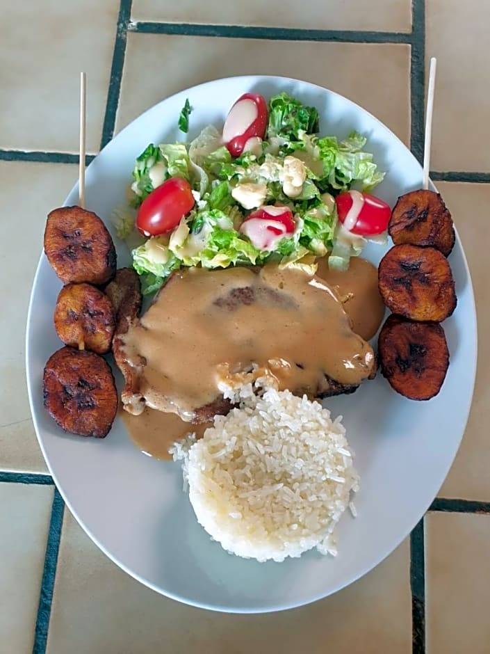 HOTEL - RESTAURANT - BAR SAINT AVIT L HOTEL DES TCHOUMJEU LOURDES