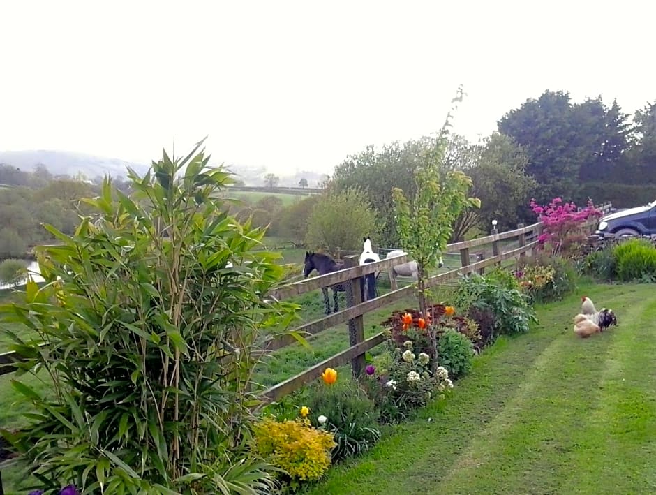 Five Saints Farmhouse B&B