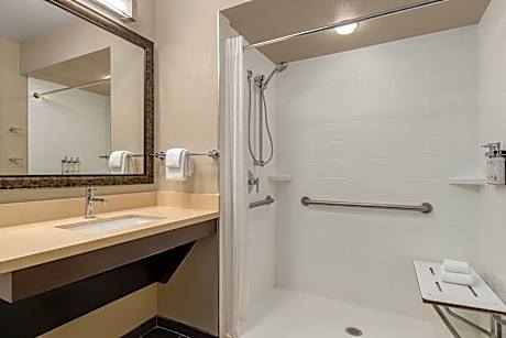 One-Bedroom Queen Suite with Mobility Accessible Roll-In Shower