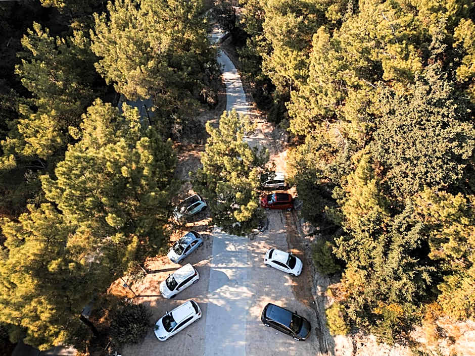 Trees Art Hotel & Suites