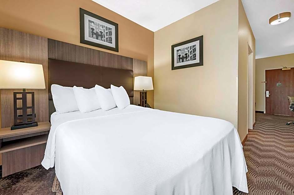 Quality Suites
