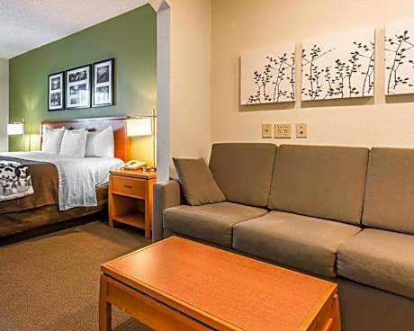 King Suite with Sofa Bed - Non-Smoking