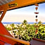 Poz Lagon - chambre d'hôtes - Bungalow pour 2 personnes - Jacuzzi privatif - petit déjeuner - Vue sur le lagon