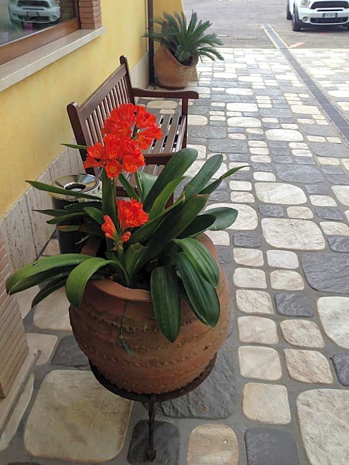 La Locanda del Cavaliere