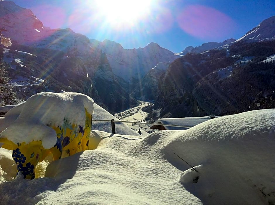 Hotel Bellevue-Wengen - Best view in town!