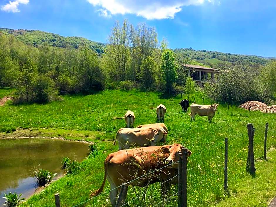 Hotel Monte Baldo