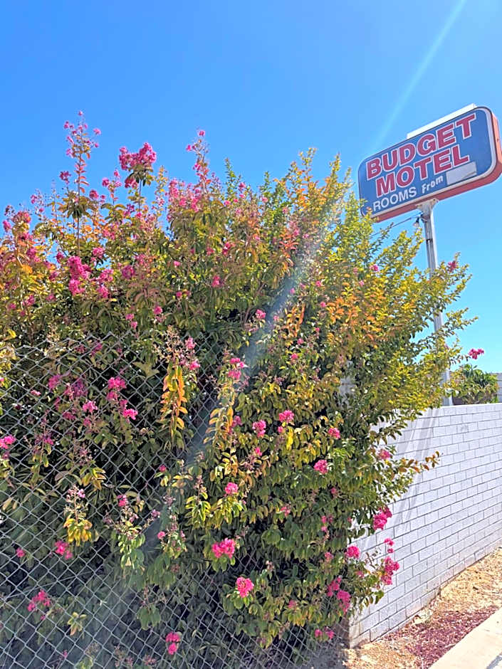 Budget Motel