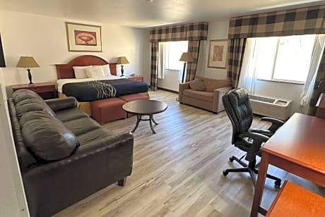 1 King Bed Studio Suite Non-Smoking