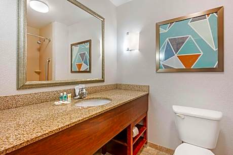 1 bedroom Suite