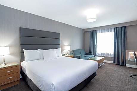 Standard Room, 1 King Bed, Sofa Bed