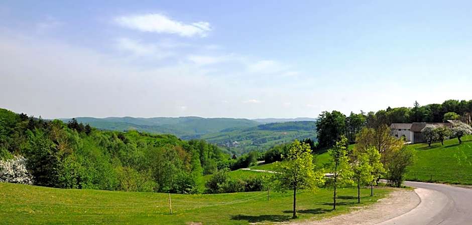 Wienerwaldhof Rieger