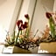 Hotel Garni Toscanina - Adults Only
