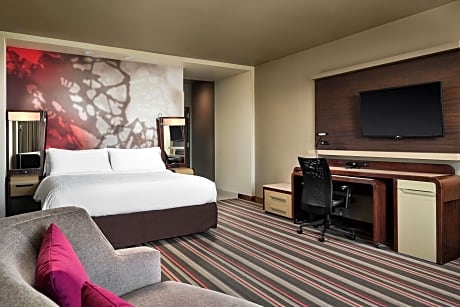 Room, 1 King Bed