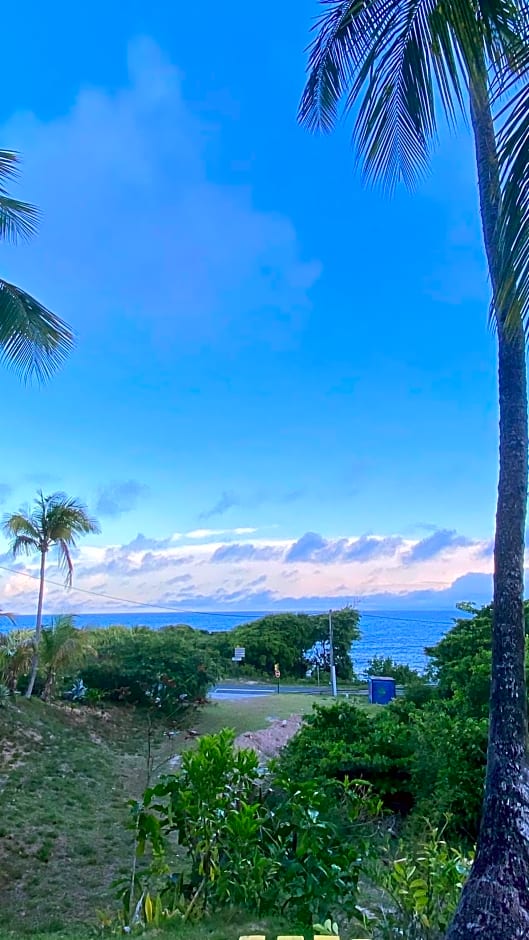 Le M Hotel Marie Galante