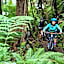 Rotorua Thermal Holiday Park