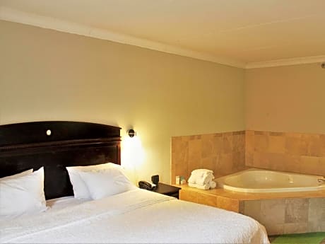 1 King Bed Deluxe Room Nonsmoking