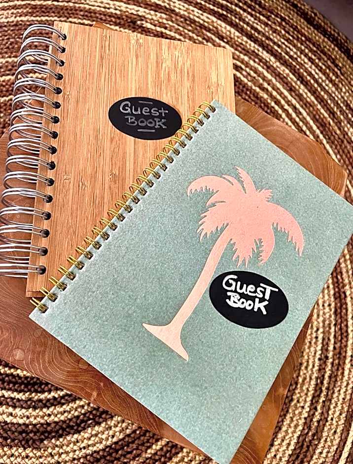 The Little Palm