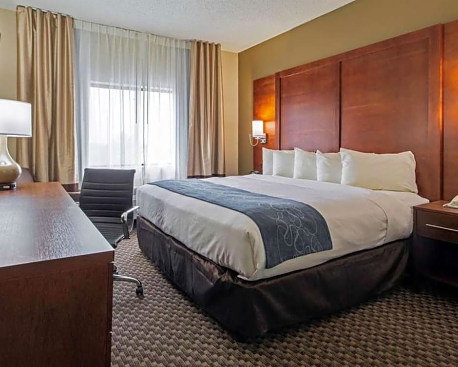 Comfort Inn & Suites Las Cruces Mesilla