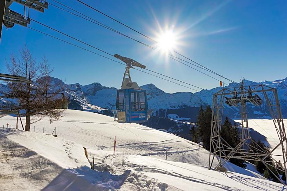 Alphotel Biel-Kinzig - Access by Cable Car only!