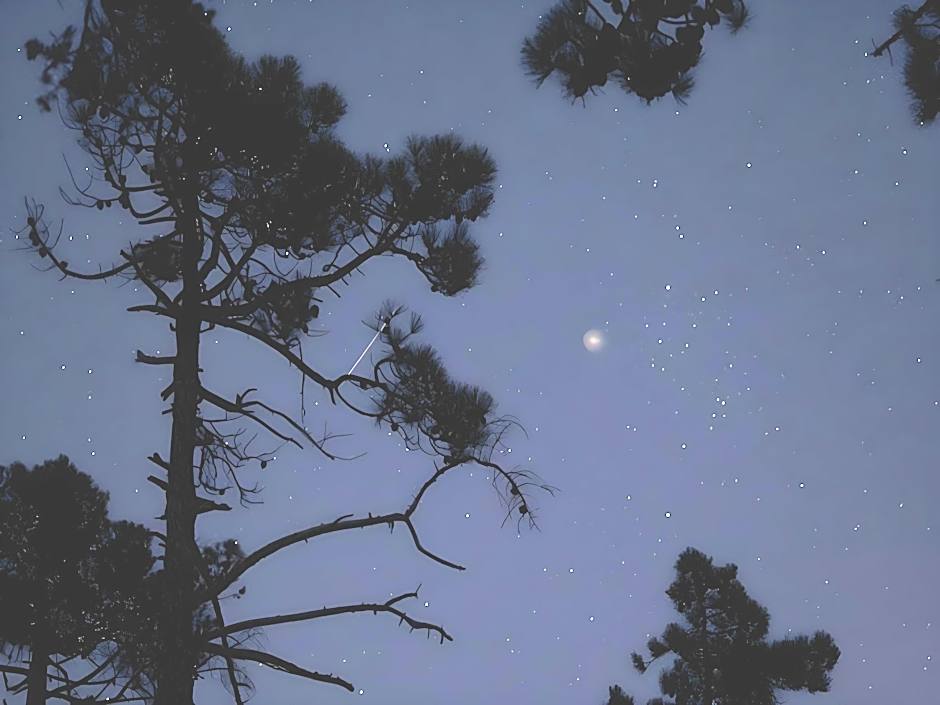 Home Elements Khaoyai