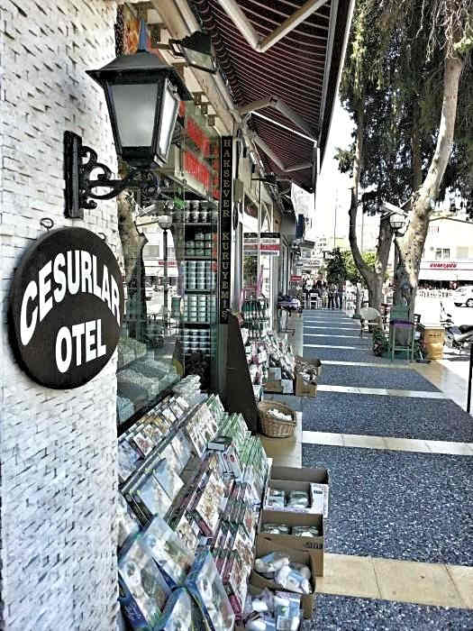Cesurlar Hotel
