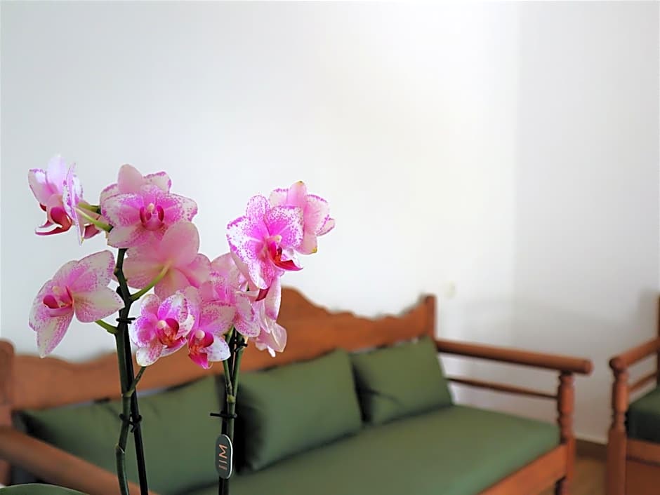 ΤΟ ΚΑΜΙΝΙ ΤΟΥ ΜΗΛΑ