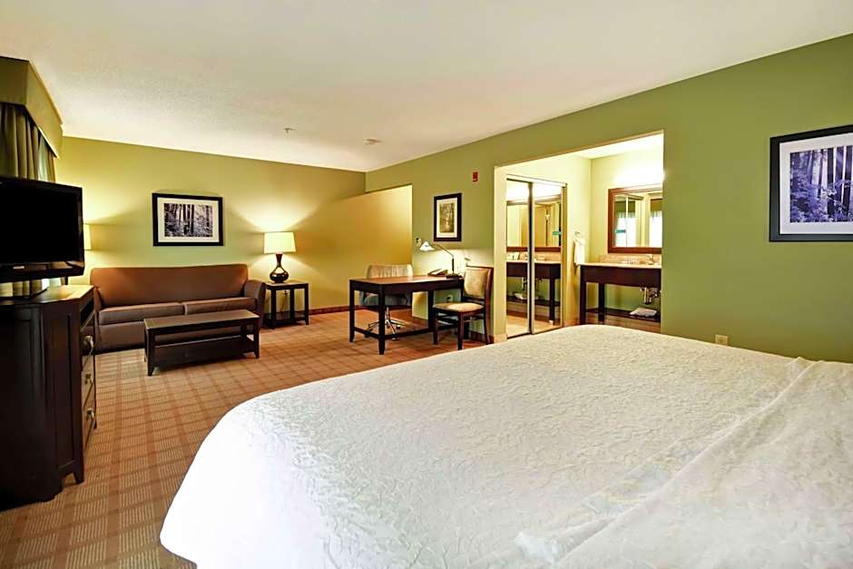 Hampton Inn By Hilton And Suites Detroit/Canton