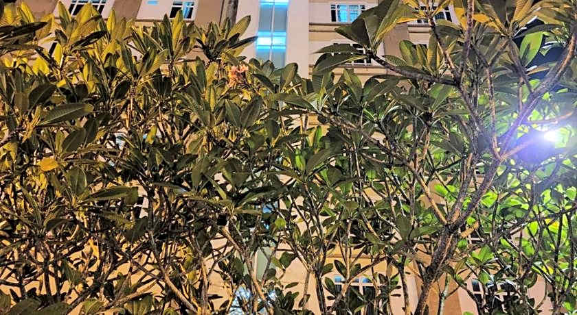 De Viana Hotel & Apartments