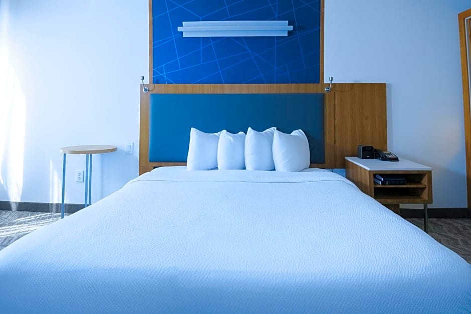 SpringHill Suites by Marriott Dallas Lewisville