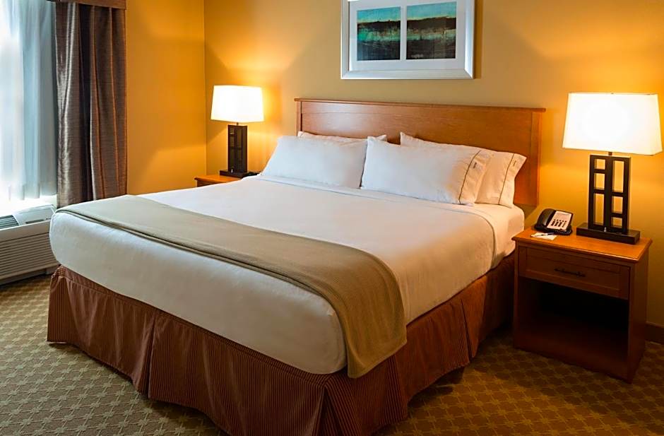 Holiday Inn Express & Suites Chicago West-Roselle By IHG