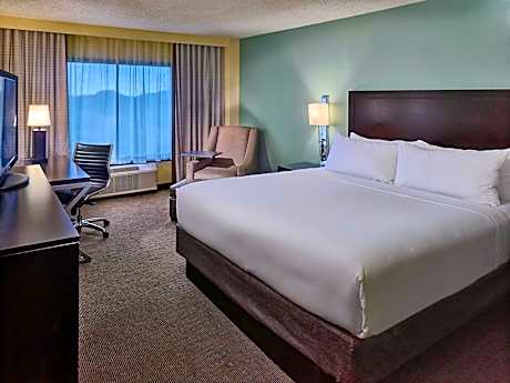 Executive King Room