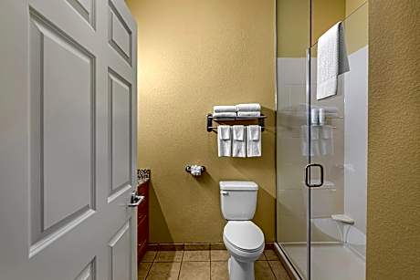 Efficiency King Suite - Non-Smoking