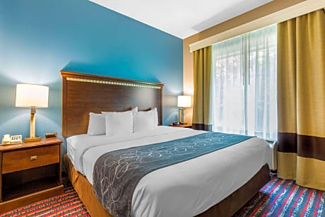 1 King Bed, Suite, Nonsmoking