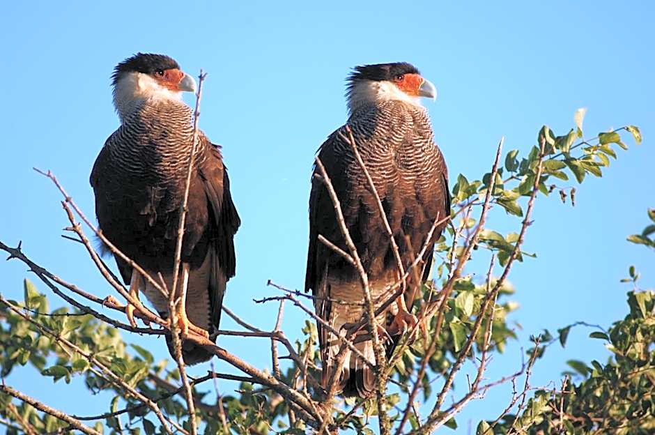 Hotel Mirador Posada Barranca