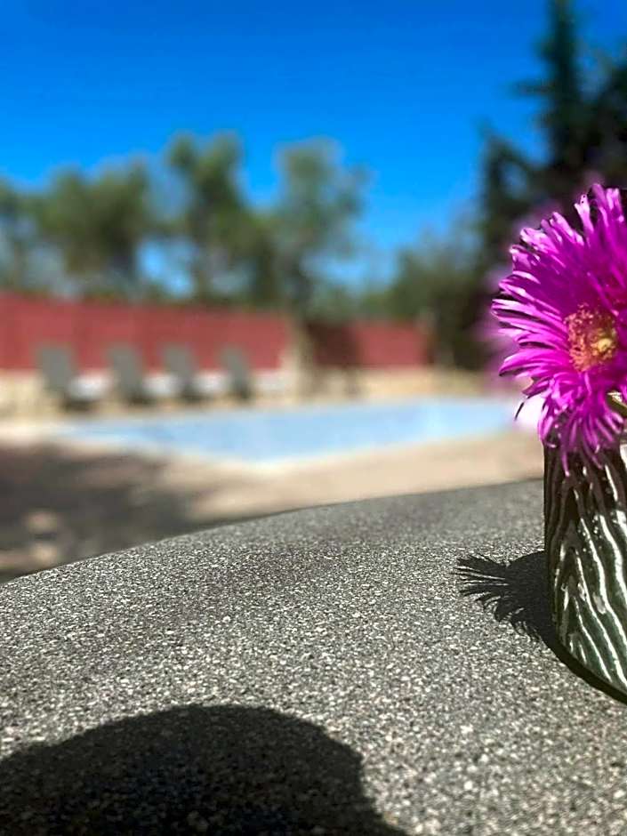 Nissi Collection Rooms