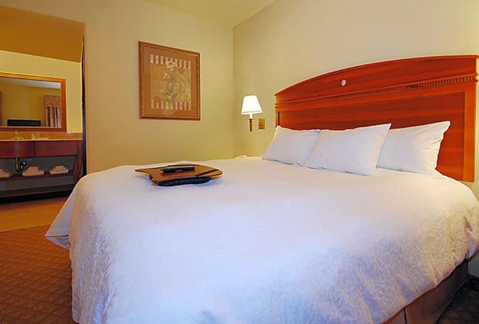 Hampton Inn & Suites Pharr