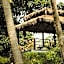 Koh Mak White Sand Beach