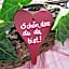 ZUR TRAUBE Schwarzwaldhotel & Restaurant am Titisee