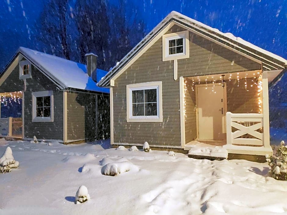 Domki w Dolinie Wieżycy