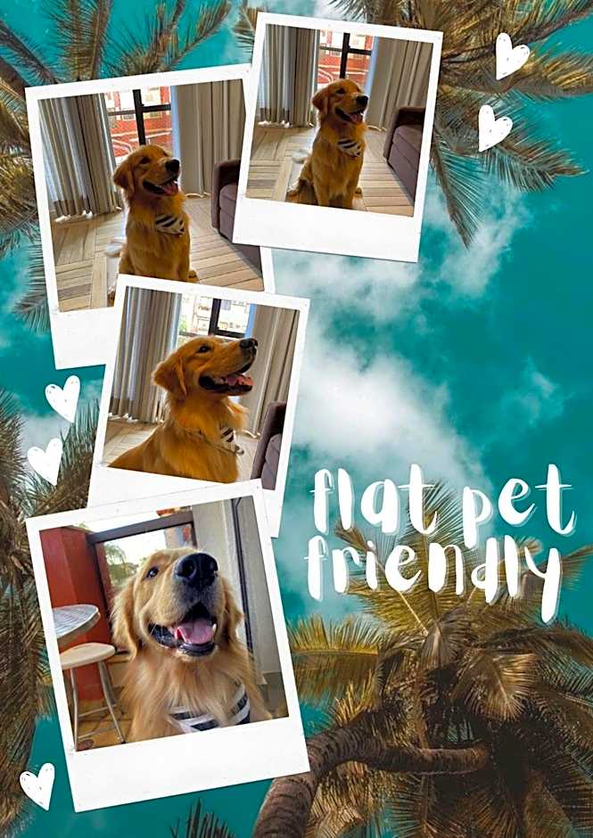 Flat Lake Side cantinho café Lago Paranoá Brasília Df