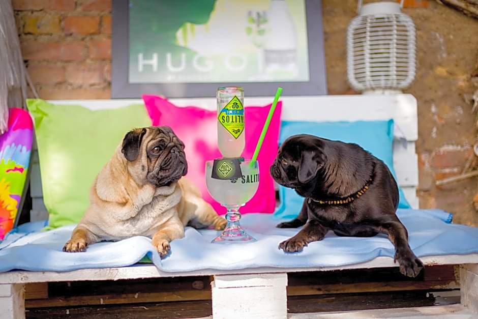 Hotel & Restaurant Am Bodden