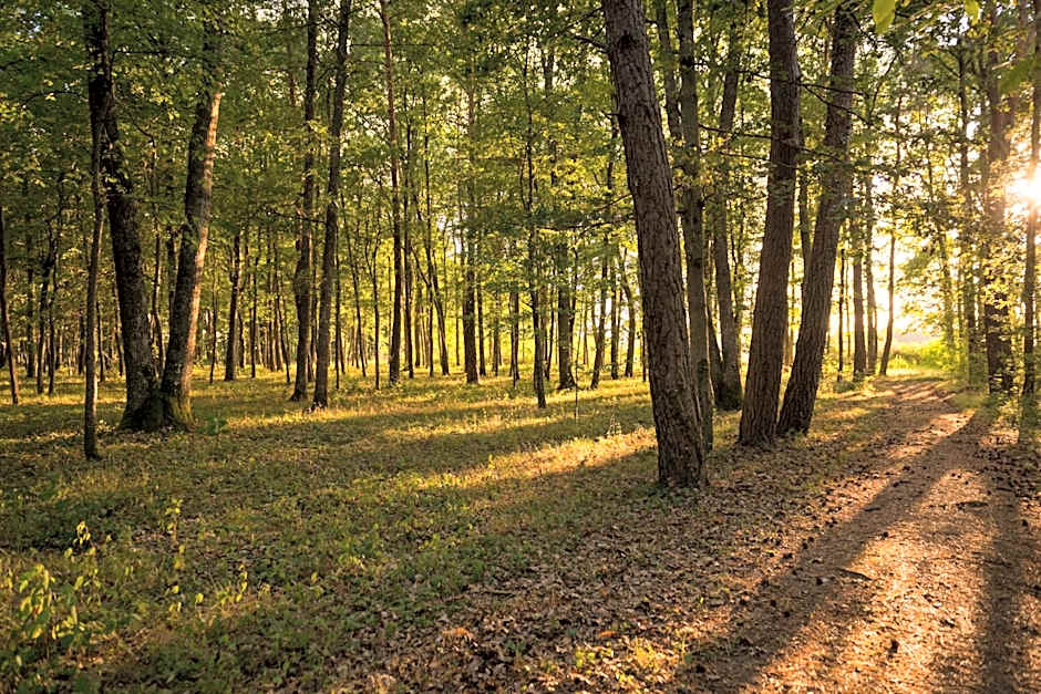 Le Relais Des Landes - Demeures et Chateaux