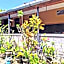 Hotel O Sekar Jagat Near Pantai Baluk Rening